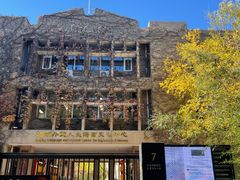 -三里屯东五街银杏大道