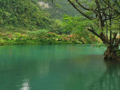 -靖西鹅泉风景区