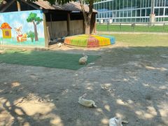 -苏州太湖西山岛开心农场