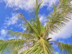 -小海豚•老字号海鲜餐厅(天涯店)