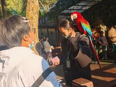 -野象谷景区
