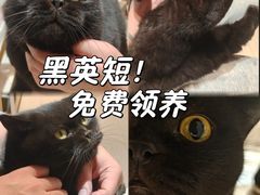 -万达广场(宝山店)