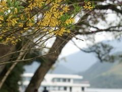 -严子陵钓台(富春江小三峡)