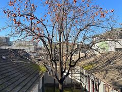 -自如ZSPACE四合院艺术餐厅
