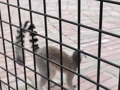 -南和农业嘉年华