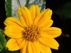 -水濂山森林公园