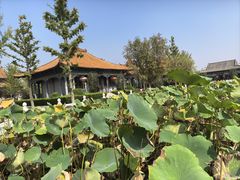 -大悲禅寺