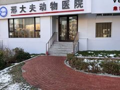 -邢大夫动物医院