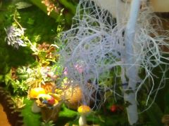 -花漫里·日式の创意餐厅(刺桐店)