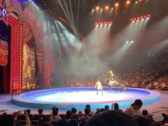 -珠海横琴长隆《卡卡虎奇遇记》