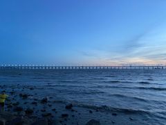 -宝安西湾红树林湿地公园