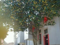 -向阳松鼠(三门井店)