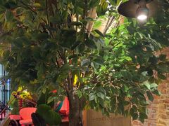 -同仁四季椰子鸡(无锡滨湖万象汇店)