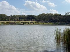 -东莞植物园