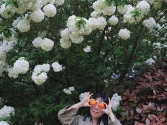 -共青国家森林公园-售票处