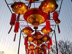 -武汉园博园(武汉自然博物馆)