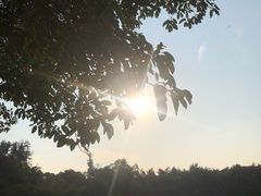 -广州雕塑公园