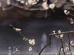 -无锡梅园公园
