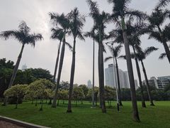 -东风公园