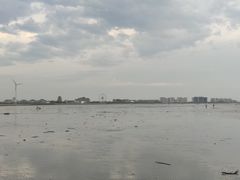 -奉贤海滩
