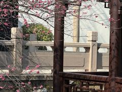 -杭州西子湖四季酒店-WL BISTRO西湖餐厅(灵隐路店)