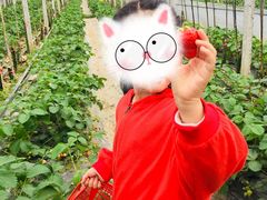 -普迪生态园