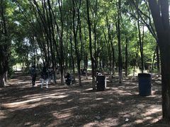 -亲兄弟真人CS团建拓展基地
