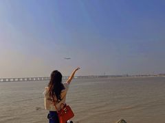 -宝安西湾红树林湿地公园