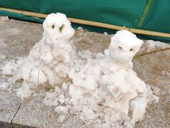 -丽华快餐(红庄国际店)