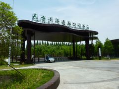 -黄海国家森林公园