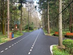 -东平国家森林公园