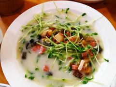 上汤豆苗-江渔儿酸菜鱼(东二环泰禾店)