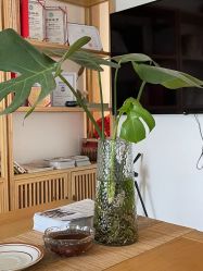 -吾之瑜生瑜伽普拉提学院