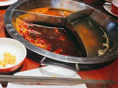 -大龙燚·旷野鲜火锅(广州首店)