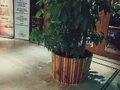 -浅深Cheersum(曹杨店)