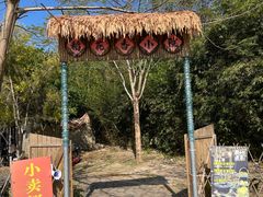 -风云岭森林公园