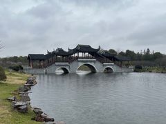 -上海海湾国家森林公园