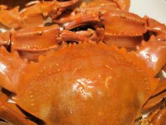 -甄御•海鲜新青岛菜(麦岛店)