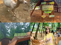 -南戴河国际娱乐中心