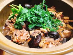 招牌必点-田螺鸡煲-食爺炭炉鸡煲·烧烤