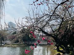 -天鹅湖体育公园