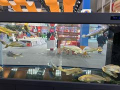 -宁波国际会展中心