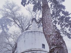 -潭柘寺景区