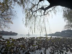 -西湖游船