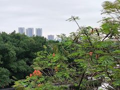 -荔湾博物馆