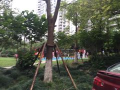 -新湖明珠城