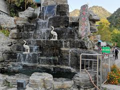 -大岭沟猕猴桃谷风景区