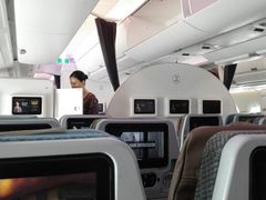 -新加坡航空公司(ION)
