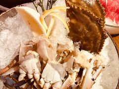 -尚海豆捞(乐虹坊店)