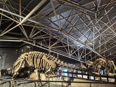 -世界恐龙谷景区